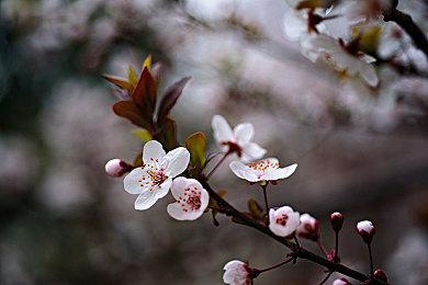 《无尽地牢》9月7日Steam封测 10月19日全平台发售